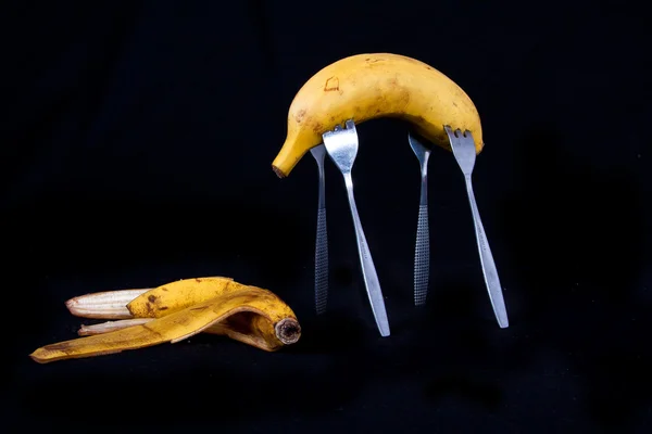 Bananenlöwe, der eine weitere Banane aß — Stockfoto
