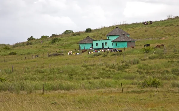 トランスカイ南アフリカ共和国の貧しい人々 の緑の家 — ストック写真