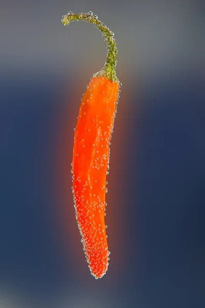 Orange chilli on blurry blue background — Stock Photo, Image