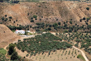 Kale antimachia görüldüğü gibi kardamena çevresinde zeytinlik.