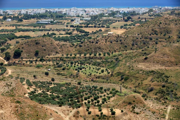 Olijfgaarden rond kardamena gezien vanaf het Fort antimachia. — Stockfoto