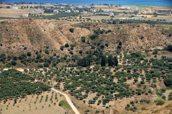 Olivlundarna runt kardamena sett från fästningen antimachia. — Stockfoto