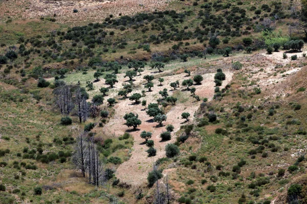 オリーブの木立の要塞 antimachia から見たカルダメナ周辺. — ストック写真