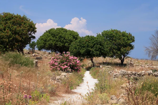 stock image Ruins of the Venetian Castle near Antimachia village