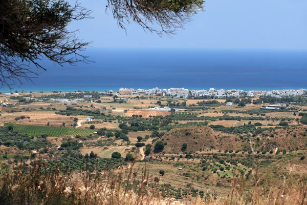 Olive groves around Kardamena as seen from the fortress Antimachia. — Stock Photo, Image