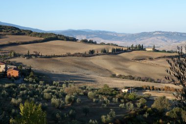 pienza ve monticchiello çevresindeki tepeler