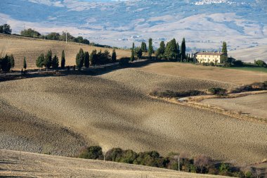 pienza ve monticchiello çevresindeki tepeler