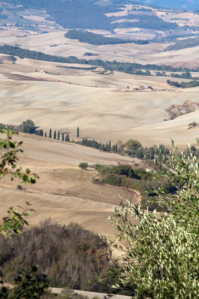 As colinas em torno de Pienza e Monticchiello Toscana, Itália . — Fotografia de Stock