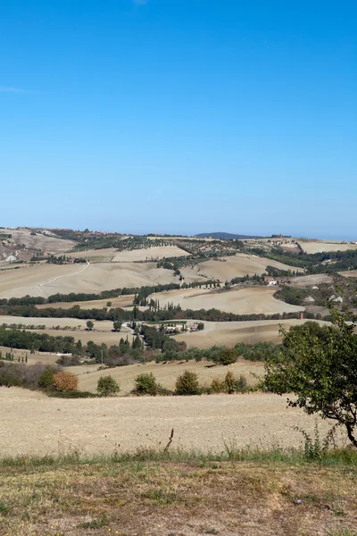 Las colinas alrededor de Pienza y Monticchiello Toscana, Italia . —  Fotos de Stock