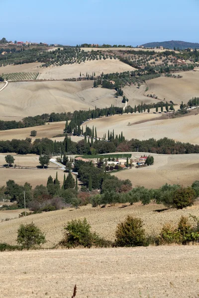 De heuvels rond pienza en monticchiello Toscane — Stockfoto