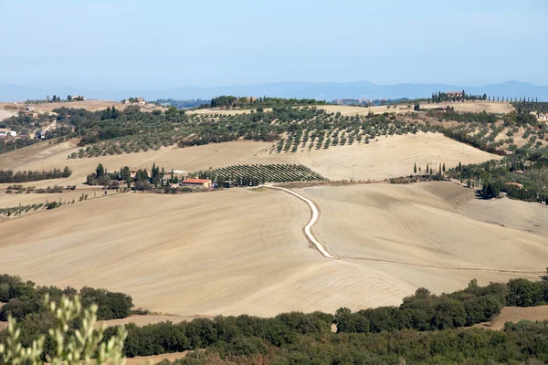 Kullarna runt pienza och monticchiello Toscana — Stockfoto