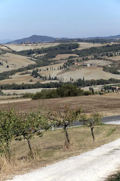 Na wzgórzach wokół pienza i monticchiello Toskania — Zdjęcie stockowe