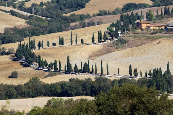 De heuvels rond pienza en monticchiello Toscane, Italië. — Stockfoto