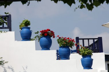 Mavi tencere zia kos Adası gree kırmızı çiçeklerle süslenmiş beyaz merdiven