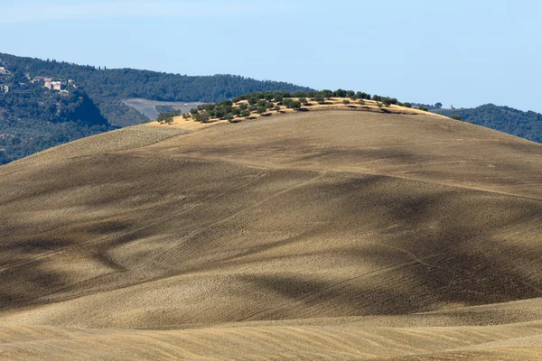 Kullarna runt pienza och monticchiello Toscana, Italien. — Stockfoto