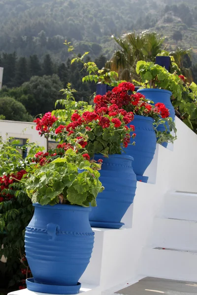 Escaliers blancs décorés de fleurs rouges dans des pots bleus Zia île de Kos Gree — Photo