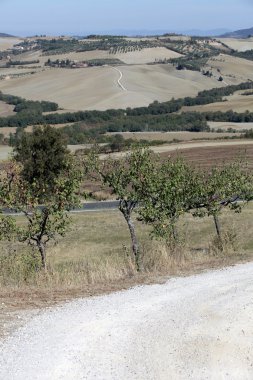 pienza ve monticchiello Toskana çevresindeki tepeler