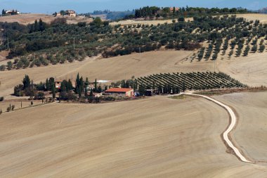 pienza ve monticchiello çevresindeki tepeler