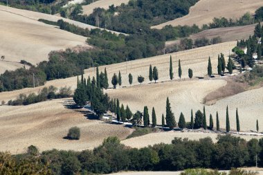 pienza ve monticchiello çevresindeki tepeler