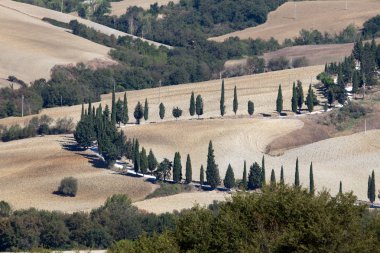 pienza ve monticchiello çevresindeki tepeler