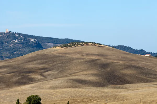 Las colinas alrededor de Pienza y Monticchiello — Foto de Stock