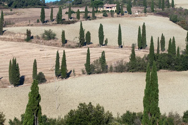 托斯卡纳的风景意大利 — 图库照片