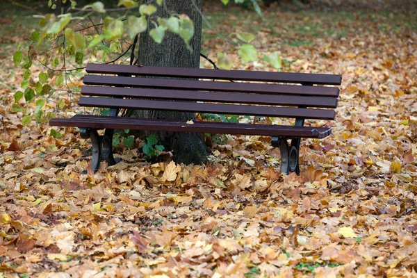 Banco vacío en el parque en otoño — Foto de Stock