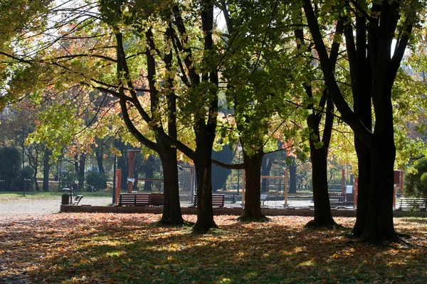 美丽的秋天树木公园 — 图库照片