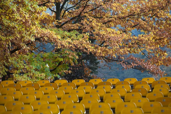The harmonious composition of the amphitheater and autumn colors — Stock Photo, Image