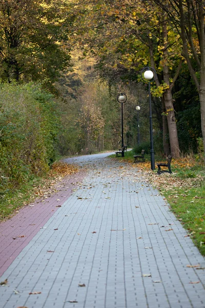 Alley for a relaxing autumn walk — Stock Photo, Image