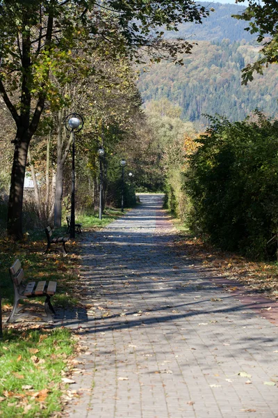 Alley for a relaxing autumn walk — Stock Photo, Image