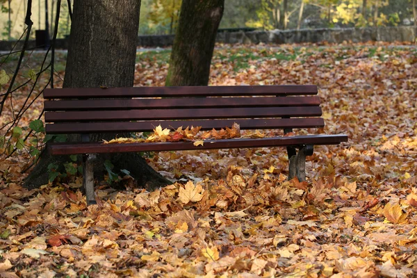 Осенью пустая скамейка в парке — стоковое фото