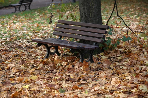 Banco vacío en el parque en otoño — Foto de Stock