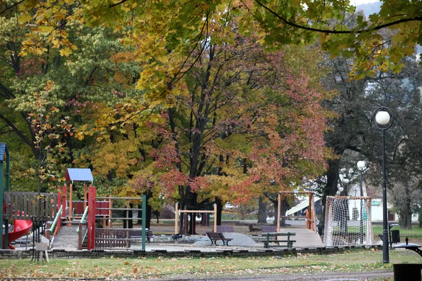 Hermosos árboles de otoño en el parque — Foto de Stock