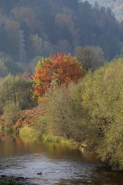 Dağ nehir sonbahar renkleri — Stok fotoğraf