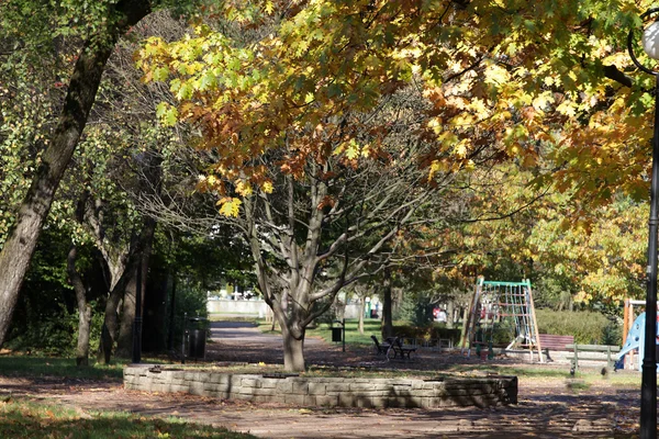 Krásné podzimní stromy v parku — Stock fotografie