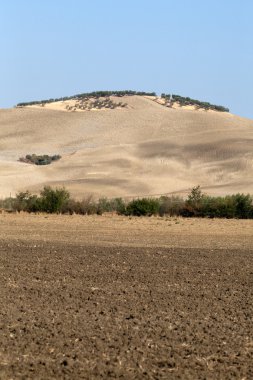 Toskana 'nın manzarası. İtalya