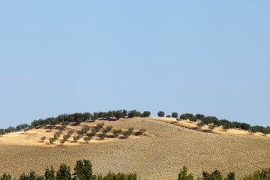 Toskana 'nın manzarası. İtalya