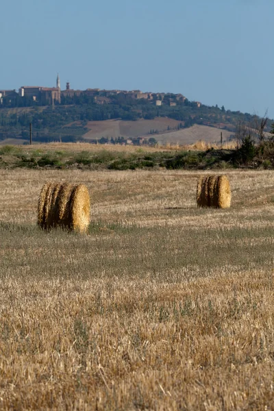 Золотые тюки на поле в Тоскане — стоковое фото