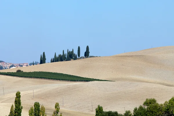 A paisagem da Toscana. Itália — Fotografia de Stock