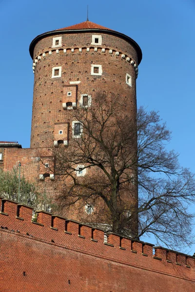 Wawel Hill a královský hrad v Krakově — Stock fotografie