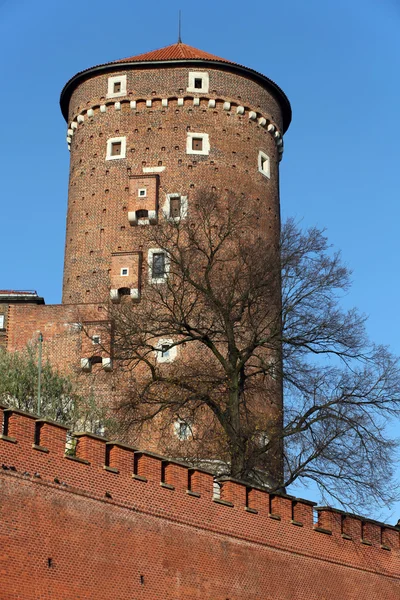 Wawel Tepesi ve Krakow 'daki Kraliyet Kalesi