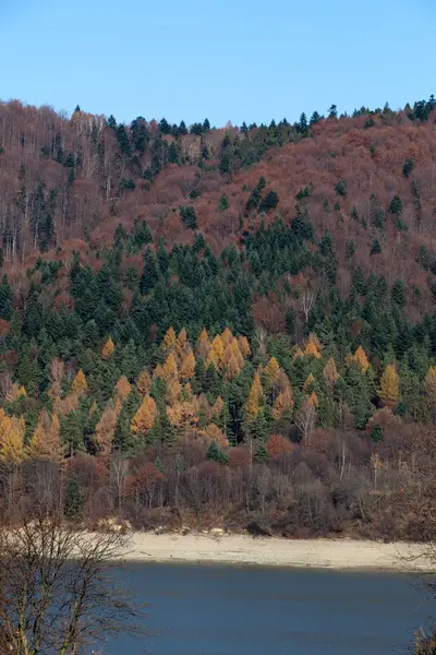 Осінні кольори в горах — стокове фото