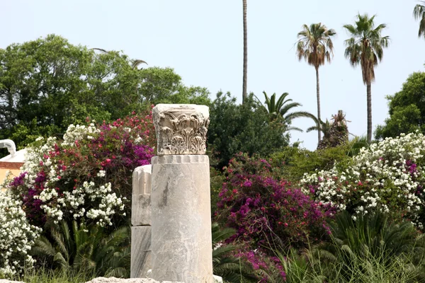 stock image The ruins of the ancient agora on Kos Island, Dodecanese