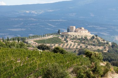 montalcino ve san antimo çevresinde en iyi Toskana üzüm bağları