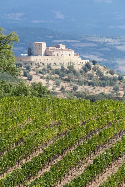 montalcino ve san antimo çevresinde en iyi Toskana üzüm bağları