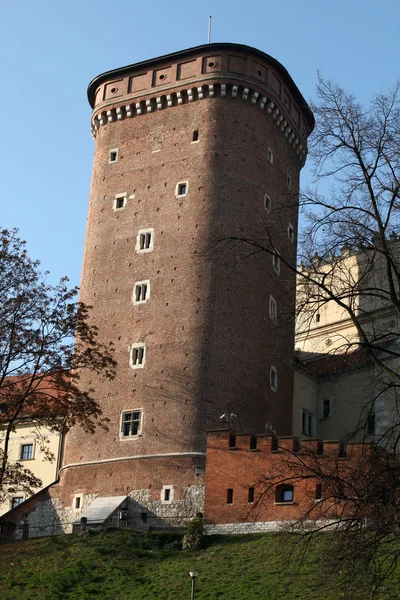 Wawel Hill i Zamek Królewski w Krakowie — Zdjęcie stockowe
