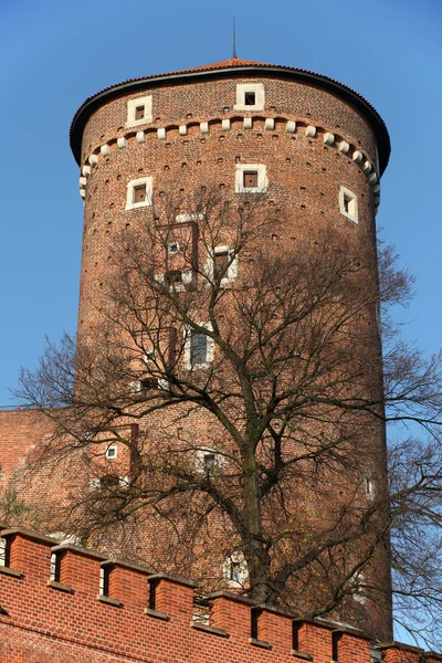 Wawel Tepesi ve Krakow 'daki Kraliyet Kalesi