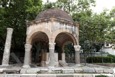 Kos kasabasındaki Hipokrat Uçak Ağacı 'nın yaylası. Yunanistan