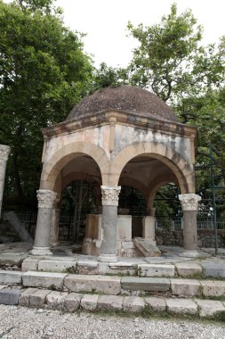 Kos kasabasındaki Hipokrat Uçak Ağacı 'nın yaylası. Yunanistan